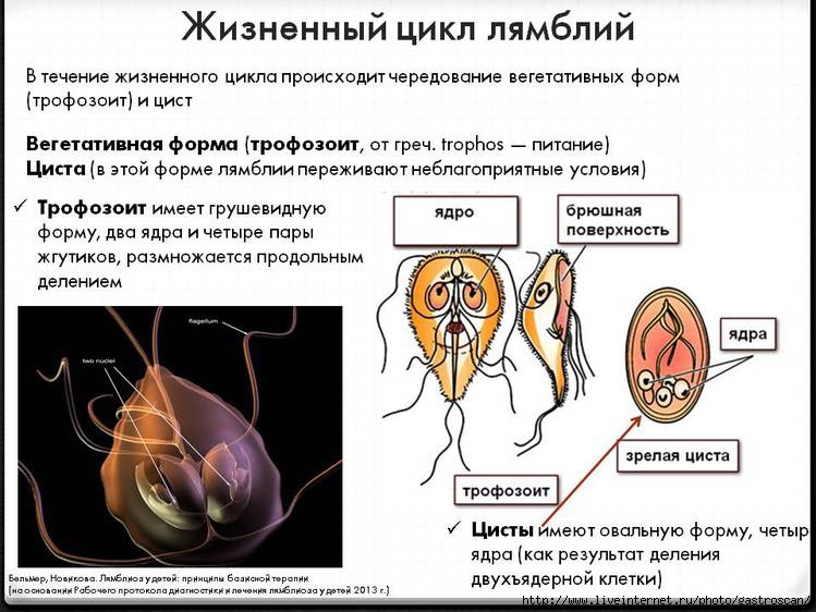 Поздравление в картинках к дню святого валентина Поздравление в картинках к дню святого валентина