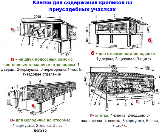Ярусные клетки для кроликов своими руками чертежи 77