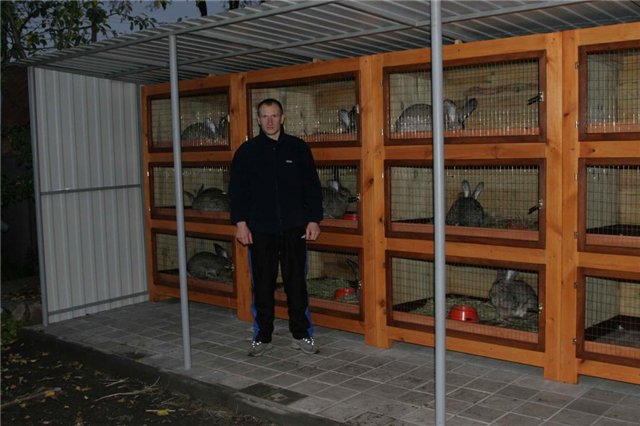 Построить клетки для кроликов Построить клетки для кроликов