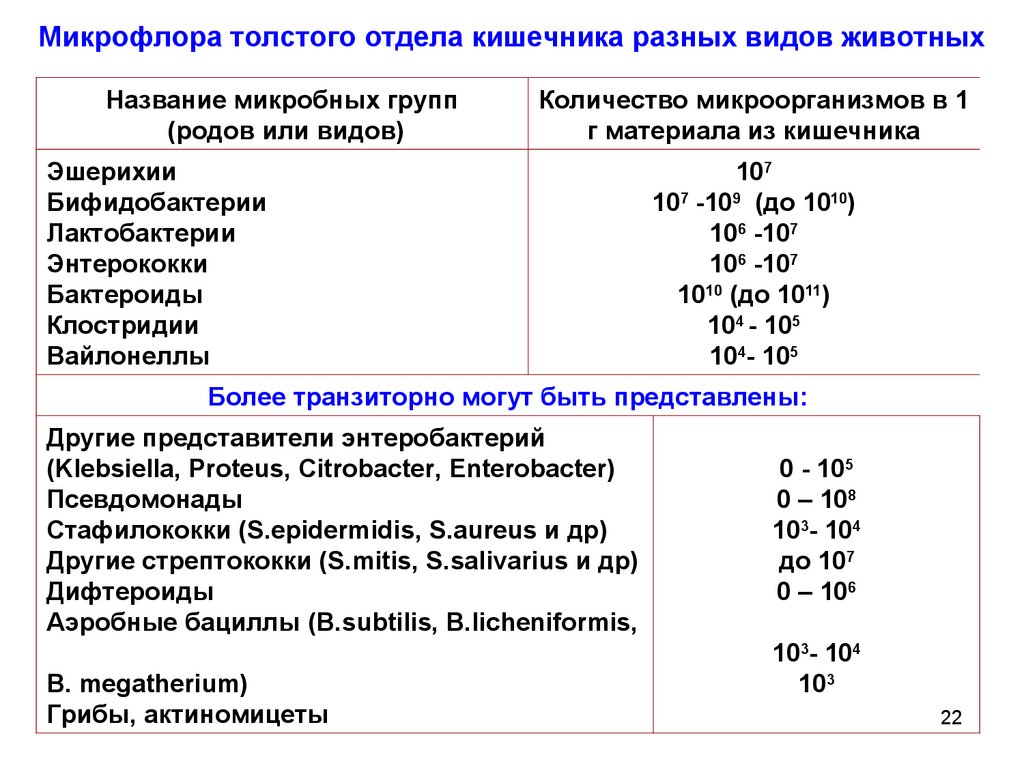 Количество микрофлоры v. Дисбактериоз нормы таблица. Таблица лессура. Исследование мазка на микрофлору расшифровка. Количество микрофлоры v.