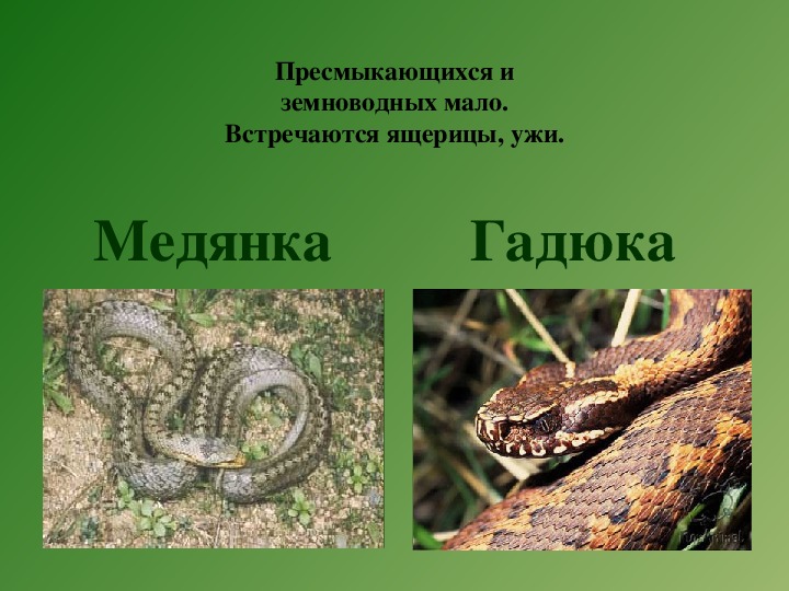 рассказ о чайке. раньше чтобы встретиться. мало встречающиеся. когда встретил бывшую картинки. афоризмы о встрече.
