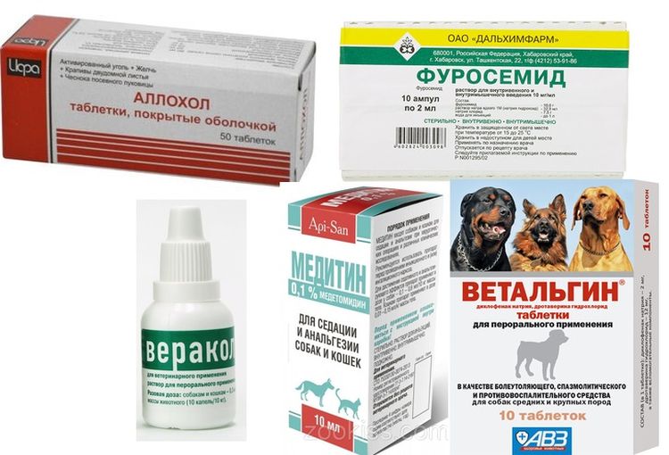 Чем можно обезболить собаку. Таблетки для собак. Препараты при панкреатите у собак. Таблетки для собак от воспаленных желез. Таблетки для поджелудочной для собак.