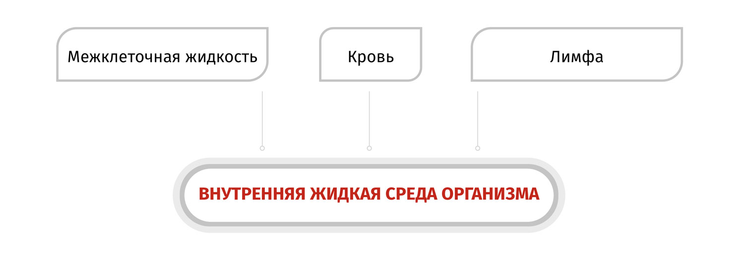 Среда перенос. Постоянство внутренней среды у собак.