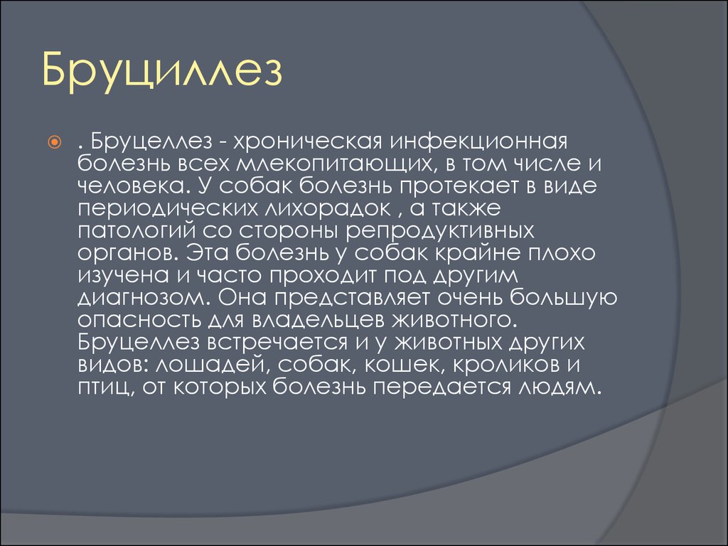 Бруцеллез инфекционные болезни. Бруцеллез у собак симптомы. Бруцеллез собак заразен для человека.