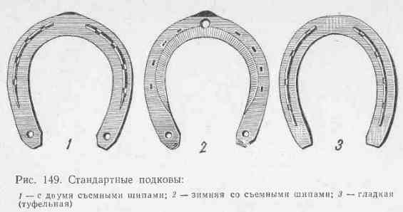 Номера подков. Подковы для лошадей в древней Руси. Старинные подковы для лошадей. Строение подковы. Типы подков для лошадей.