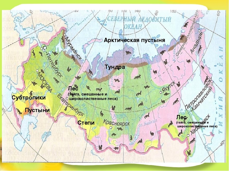 Арктическая пустыня на карте природных зон