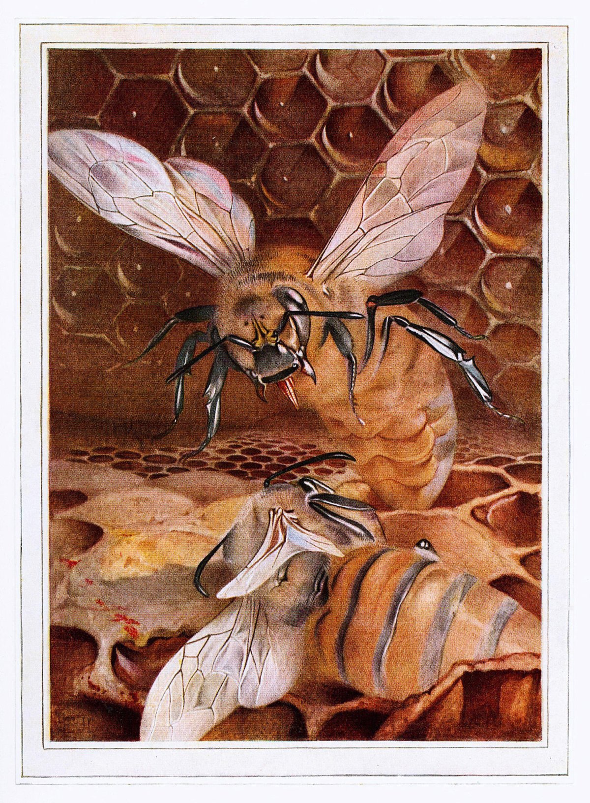 Пчела арт